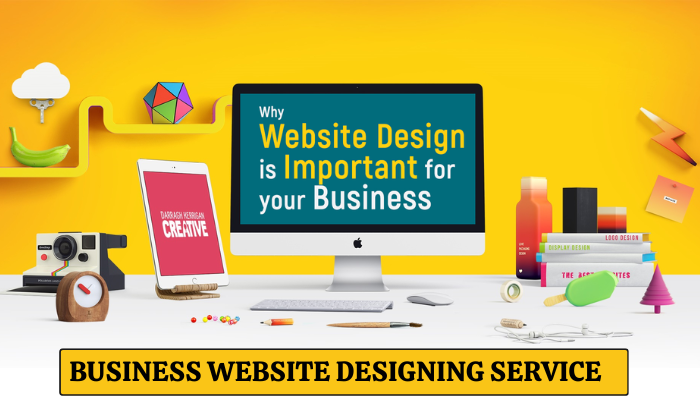 Best Business Website Designing Service in Delhi India