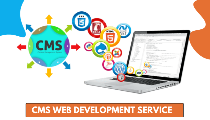 CMS Web Development Company in Delhi India
