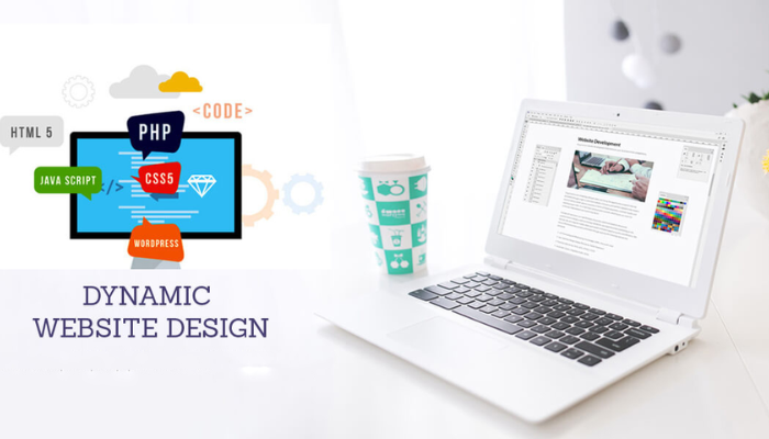 Best Dynamic Web Designing Services Company in Delhi India