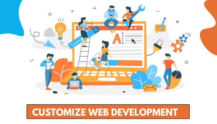 Customize Web Development Company in Delhi India