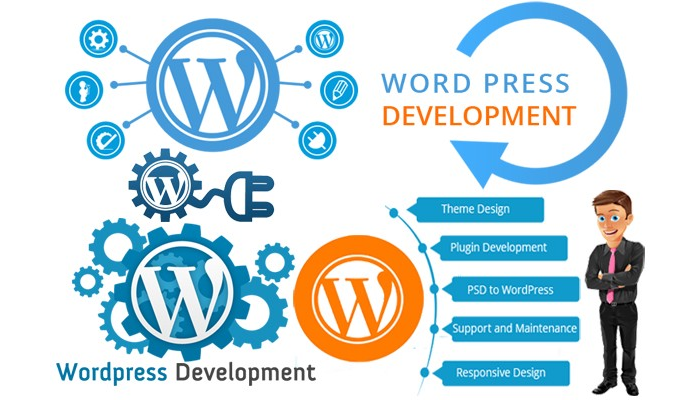 Wordpress Web Development Company in Delhi India